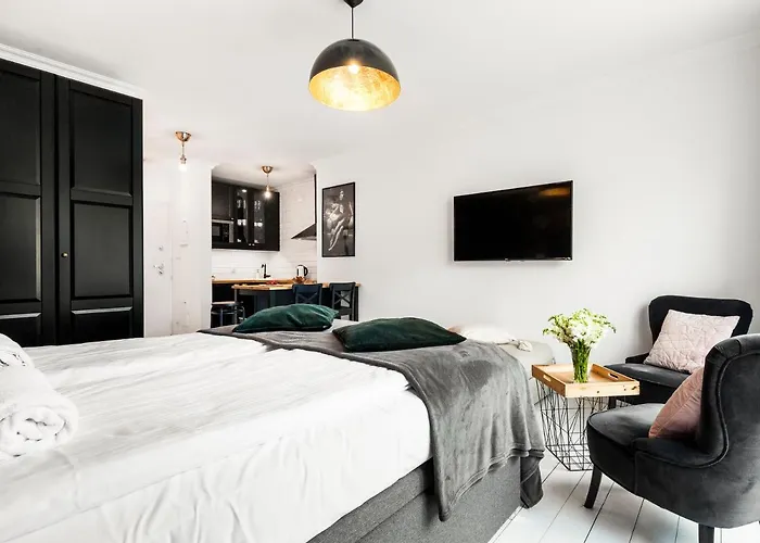 Happy Tartaczna I 公寓 *